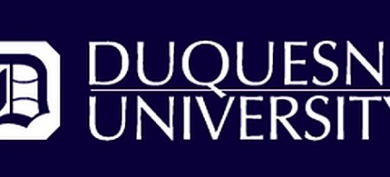 Duquesne University Dnp Program