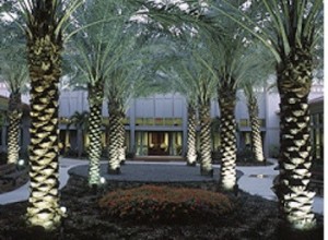 Poyntertrees